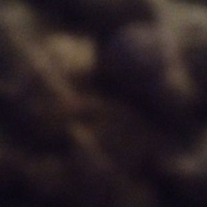 Meet your Posher, Rayjean